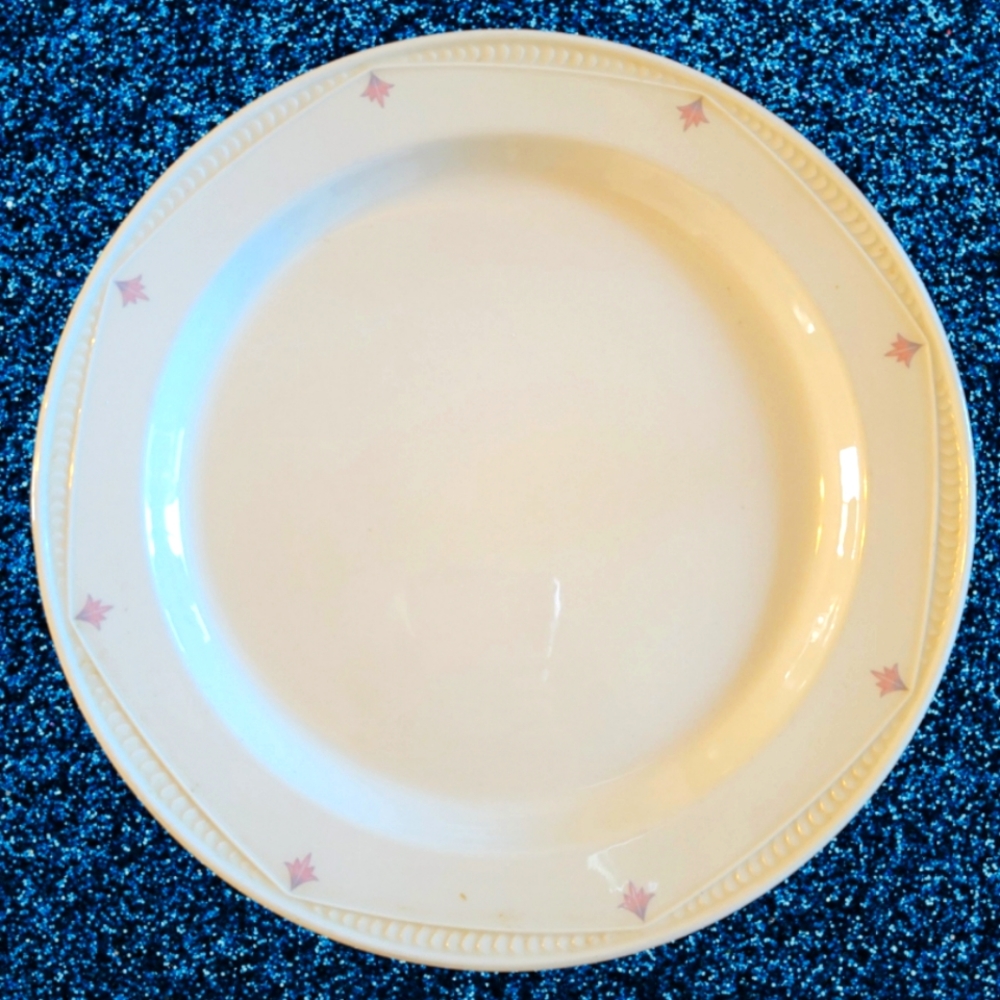 Vtg Plate Steelite International England China